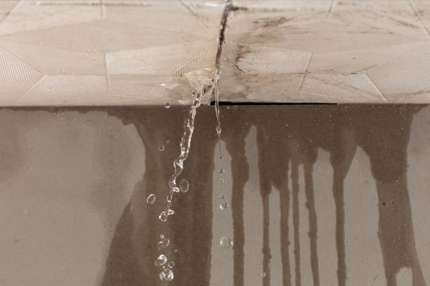 Professional Water Damage Repair technician working in Hudson, TX